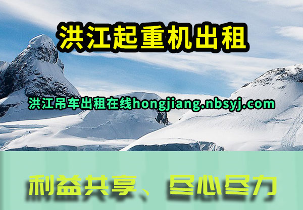 齭ػ