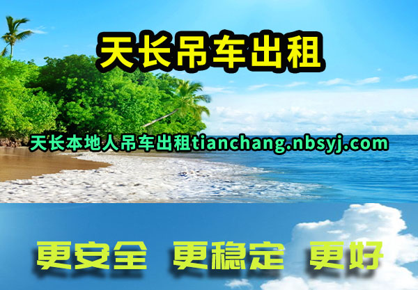 쳤