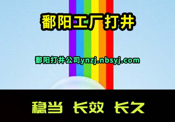 ۶